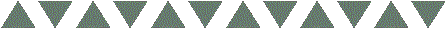 ssbar.gif (2609 bytes)